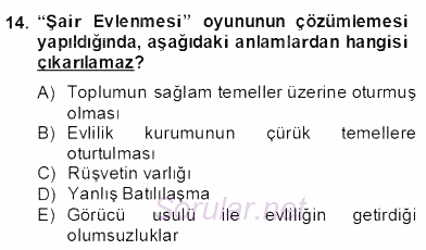 Tanzimat Dönemi Türk Edebiyatı 2 2013 - 2014 Dönem Sonu Sınavı 14.Soru