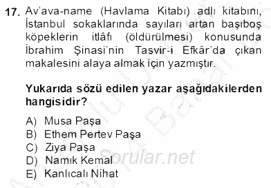 Tanzimat Dönemi Türk Edebiyatı 2 2013 - 2014 Dönem Sonu Sınavı 17.Soru