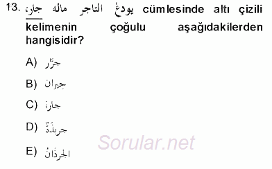 Arapça 3 2013 - 2014 Dönem Sonu Sınavı 13.Soru