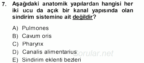 Temel Veteriner Anatomi 2014 - 2015 Dönem Sonu Sınavı 7.Soru