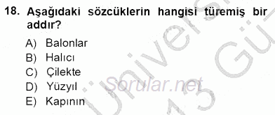 Türkçe Sözlü Anlatım 2012 - 2013 Ara Sınavı 18.Soru