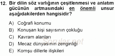 Türk Dili 1 2013 - 2014 Tek Ders Sınavı 12.Soru