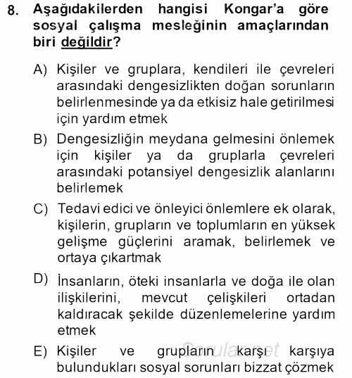 Sosyal Hizmete Giriş 2013 - 2014 Ara Sınavı 8.Soru