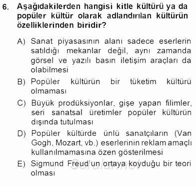 Türk Kültür Tarihi 2014 - 2015 Dönem Sonu Sınavı 6.Soru