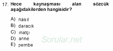 Türk Dili 1 2013 - 2014 Ara Sınavı 17.Soru