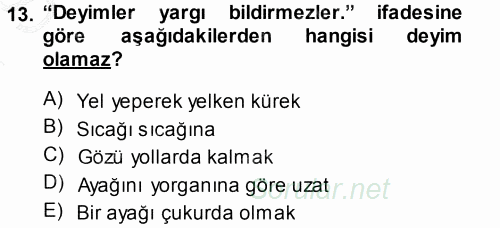 Türk Dili 1 2013 - 2014 Dönem Sonu Sınavı 13.Soru