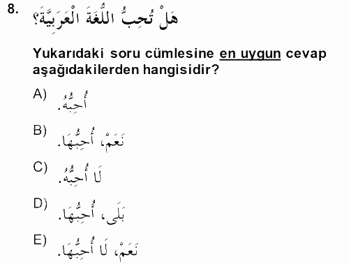 Arapça 2 2013 - 2014 Dönem Sonu Sınavı 8.Soru
