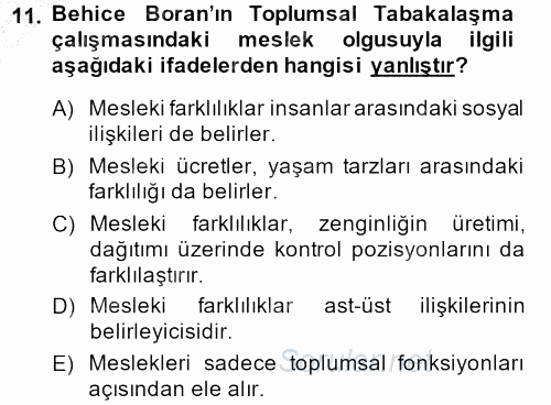 Türk Sosyologları 2013 - 2014 Dönem Sonu Sınavı 11.Soru