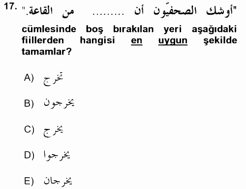 Arapça 4 2016 - 2017 Ara Sınavı 17.Soru