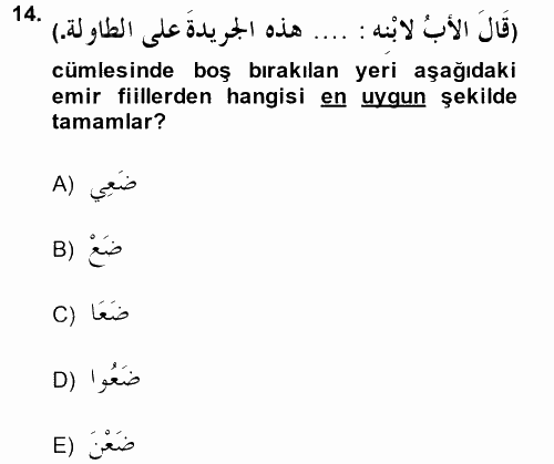 Arapça 3 2014 - 2015 Ara Sınavı 14.Soru