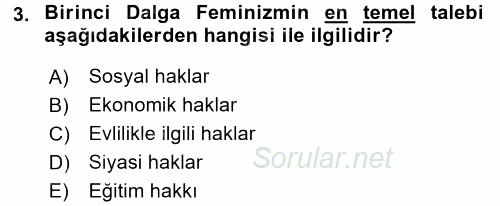 Toplumsal Cinsiyet Çalışmaları 2017 - 2018 Ara Sınavı 3.Soru