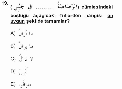 Arapça 2 2013 - 2014 Tek Ders Sınavı 19.Soru