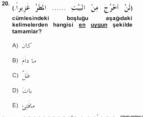 Arapça 2 2013 - 2014 Tek Ders Sınavı 20.Soru