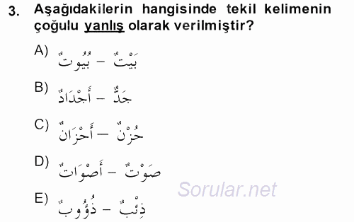 Arapça 2 2013 - 2014 Tek Ders Sınavı 3.Soru