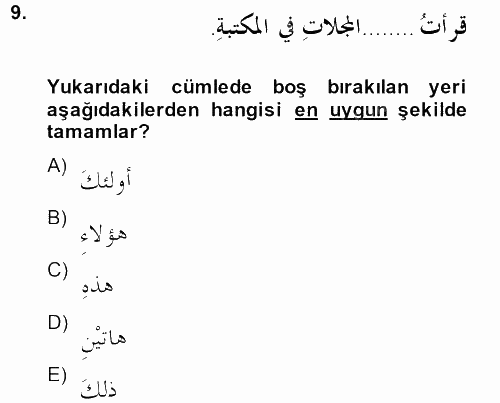 Arapça 2 2013 - 2014 Tek Ders Sınavı 9.Soru