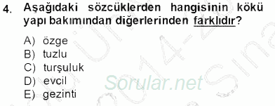 Türkçe Biçim Bilgisi 2014 - 2015 Ara Sınavı 4.Soru