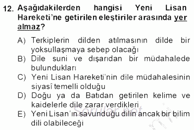 II. Meşrutiyet Dönemi Türk Edebiyatı 2013 - 2014 Dönem Sonu Sınavı 12.Soru