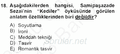 Yeni Türk Edebiyatına Giriş 2 2012 - 2013 Dönem Sonu Sınavı 18.Soru