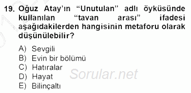 Yeni Türk Edebiyatına Giriş 2 2012 - 2013 Dönem Sonu Sınavı 19.Soru