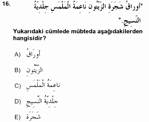 Arapça 1 2016 - 2017 Ara Sınavı 16.Soru