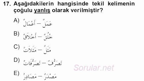 Arapça 2 2012 - 2013 Ara Sınavı 17.Soru
