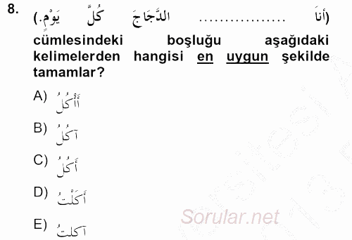 Arapça 2 2012 - 2013 Ara Sınavı 8.Soru