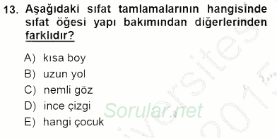 Türkçe Cümle Bilgisi 1 2014 - 2015 Ara Sınavı 13.Soru