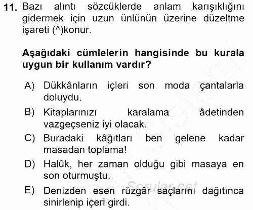Türk Dili 2 2016 - 2017 Ara Sınavı 11.Soru