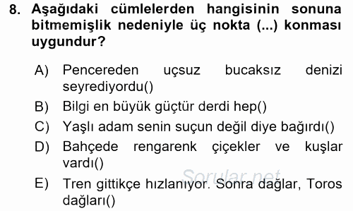 Türk Dili 2 2016 - 2017 Ara Sınavı 8.Soru