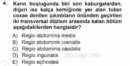 Temel Veteriner Anatomi 2012 - 2013 Ara Sınavı 4.Soru