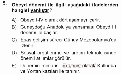 Anadolu Arkeolojisi 2013 - 2014 Tek Ders Sınavı 5.Soru