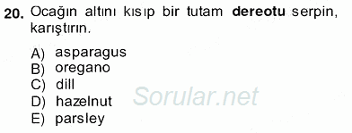 Çeviri (Türk/İng) 2013 - 2014 Ara Sınavı 20.Soru