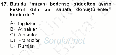 Tanzimat Dönemi Türk Edebiyatı 2 2012 - 2013 Dönem Sonu Sınavı 17.Soru