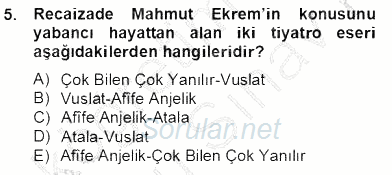 Tanzimat Dönemi Türk Edebiyatı 2 2012 - 2013 Dönem Sonu Sınavı 5.Soru
