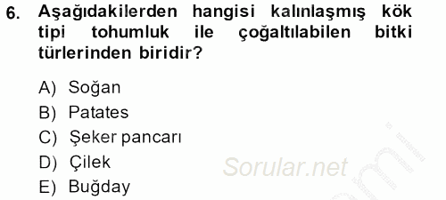 Tarla Bitkileri 1 2013 - 2014 Ara Sınavı 6.Soru