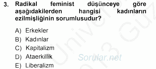Toplumsal Cinsiyet Sosyolojisi 2012 - 2013 Ara Sınavı 3.Soru