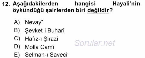 XVI. Yüzyıl Türk Edebiyatı 2016 - 2017 Ara Sınavı 12.Soru