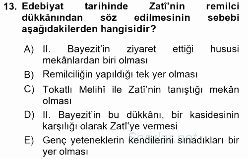 XVI. Yüzyıl Türk Edebiyatı 2016 - 2017 Ara Sınavı 13.Soru