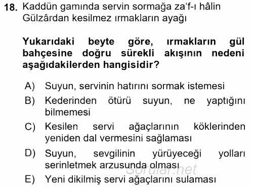 XVI. Yüzyıl Türk Edebiyatı 2016 - 2017 Ara Sınavı 18.Soru