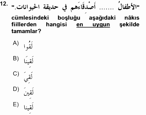 Arapça 3 2015 - 2016 Ara Sınavı 12.Soru