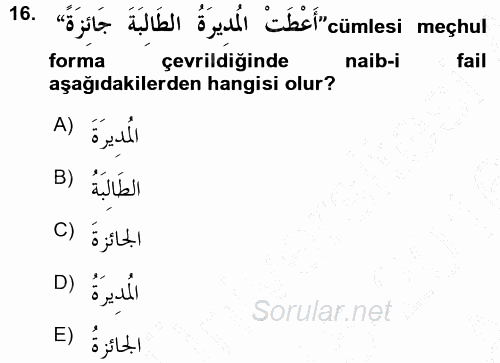 Arapça 3 2015 - 2016 Ara Sınavı 16.Soru