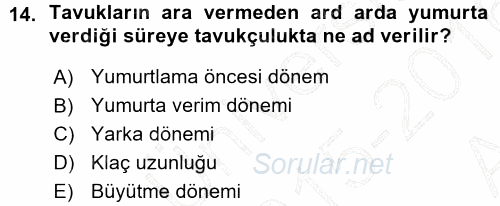 Temel Zootekni 2015 - 2016 Ara Sınavı 14.Soru