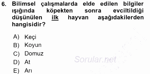 Temel Zootekni 2015 - 2016 Ara Sınavı 6.Soru