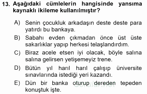Türk Dili 1 2016 - 2017 Dönem Sonu Sınavı 13.Soru