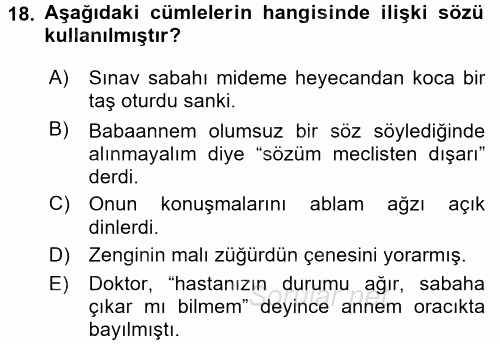 Türk Dili 1 2016 - 2017 Dönem Sonu Sınavı 18.Soru