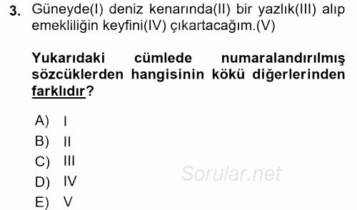 Türk Dili 1 2016 - 2017 Dönem Sonu Sınavı 3.Soru