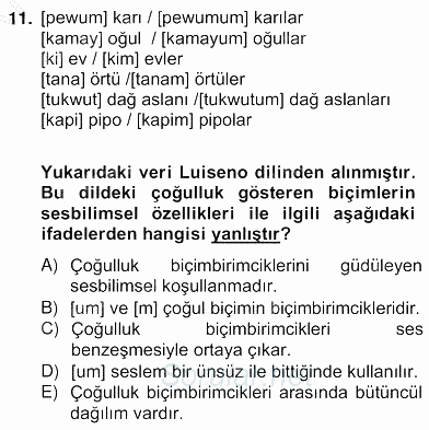 Genel Dilbilim 2 2012 - 2013 Ara Sınavı 11.Soru