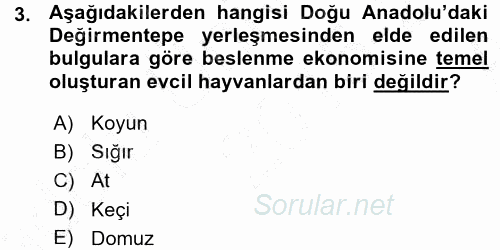 Eski Anadolu Tarihi 2015 - 2016 Ara Sınavı 3.Soru