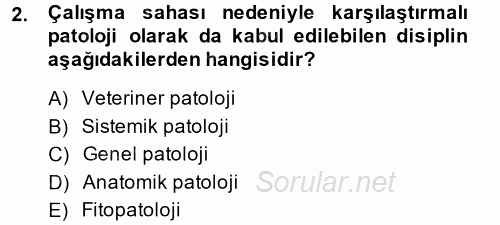 Temel Veteriner Patoloji 2014 - 2015 Ara Sınavı 2.Soru