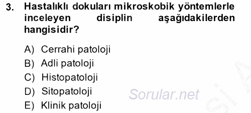 Temel Veteriner Patoloji 2014 - 2015 Ara Sınavı 3.Soru